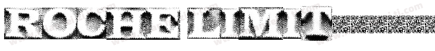Roche limit字体转换